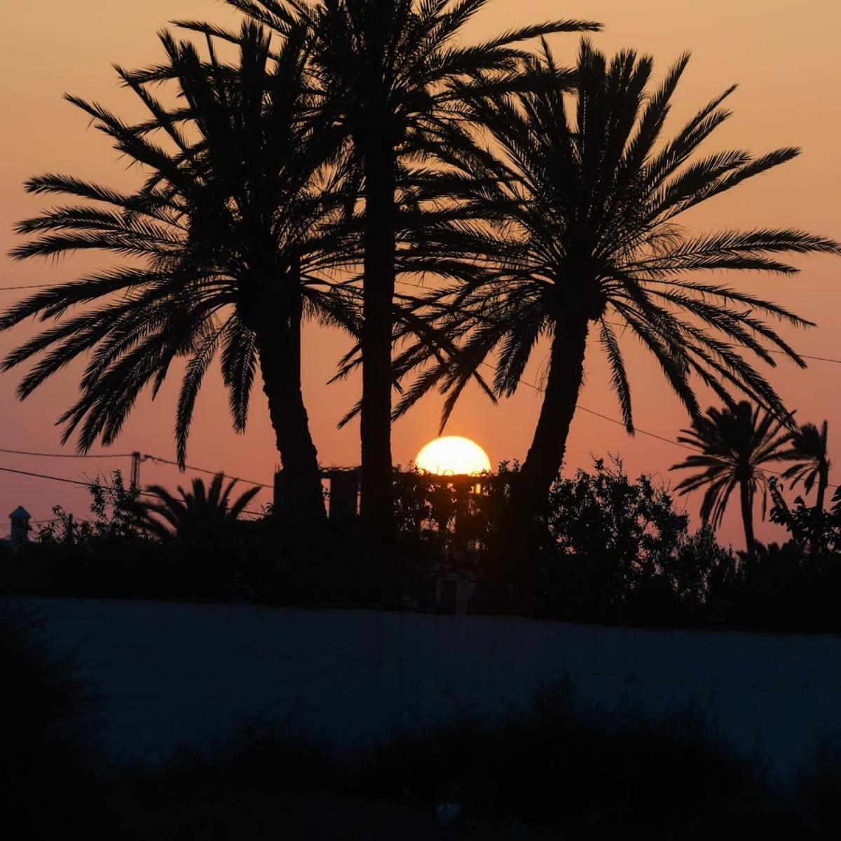 Studio Rouge Cosy A Dar Lili Djerba Mezraia Luaran gambar
